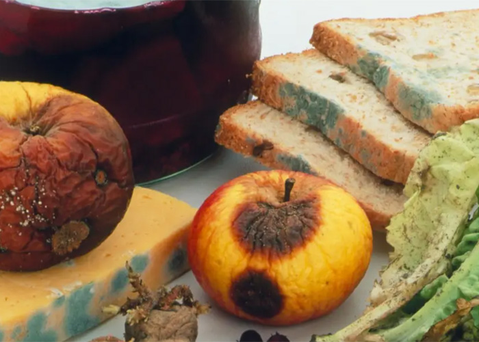 上海海關(guān)核桃報廢處理公司2022已更新(今日/資訊) 上海海關(guān)核桃報廢處理公司2022已更新(今日/資訊)