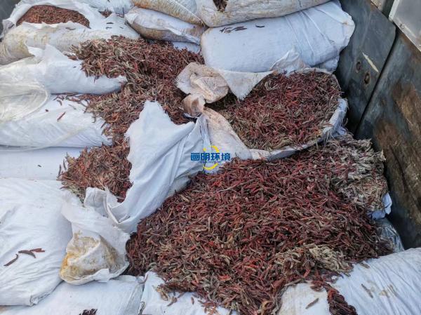 案例|某公司海關產品銷毀 案例|某公司海關產品銷毀